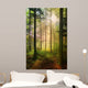 Forest fairy Wall Mural