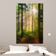 Forest fairy Wall Mural