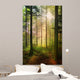 Forest fairy Wall Mural