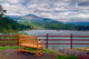 Bench Overlooking Columbia River Wall Mural