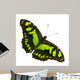 Yellow and Black Wall Decal