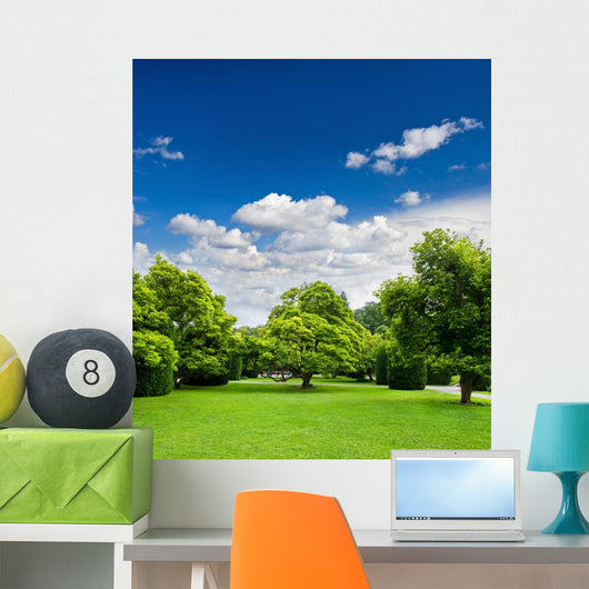 Beautiful Park Trees over