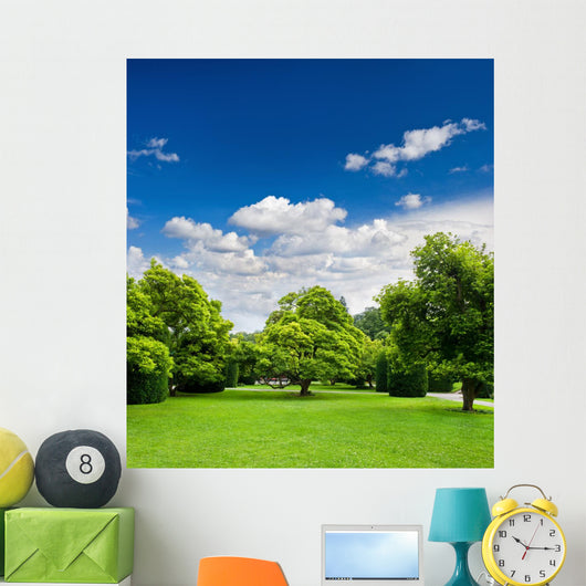 Beautiful Park Trees over