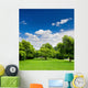 Beautiful Park Trees over
