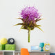 Inflorescence Milk Thistle
