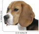 beautiful beagle portrait tender look Wall Decal