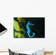 Sea Horse Wall Mural
