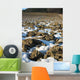Acker im Winter Wall Decal