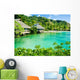 Over Water Bungalows and