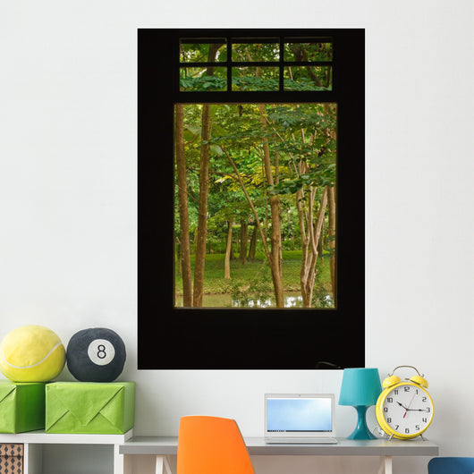 Outside Window