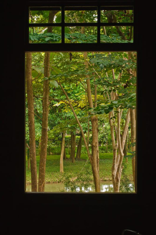 Outside Window