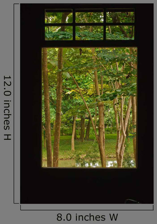 Outside Window