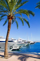 Calvia Puerto Portals Nous
