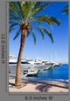 Calvia Puerto Portals Nous