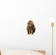 Brown Owl Tilting Its Head Wall Decal