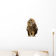 Brown Owl Tilting Its Head Wall Decal