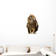 Brown Owl Tilting Its Head Wall Decal