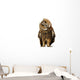 Brown Owl Tilting Its Head Wall Decal