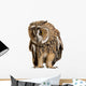 Brown Owl Wall Decal