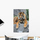 Sumatratiger Wall Mural