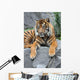 Sumatratiger Wall Mural