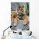Sumatratiger Wall Mural