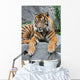 Sumatratiger Wall Mural