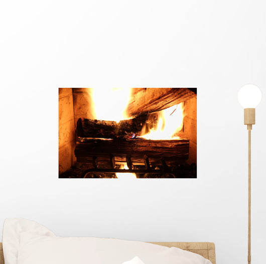 Wood Buring Fire Place