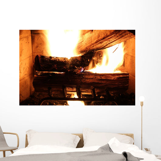 Wood Buring Fire Place