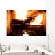 Wood Buring Fire Place