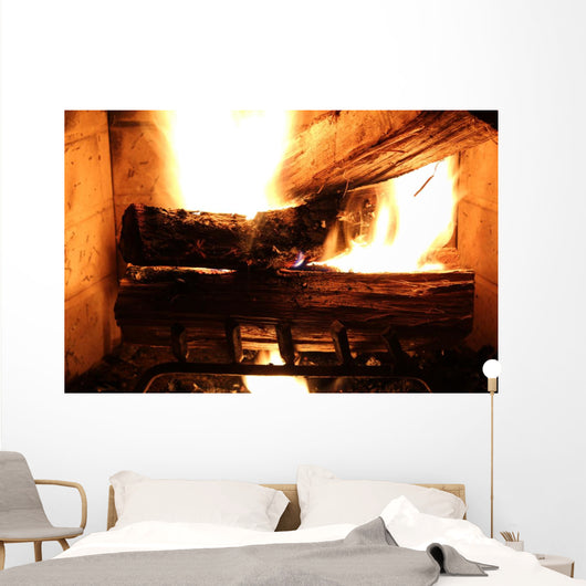 Wood Buring Fire Place