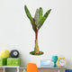 Banana Tree