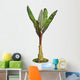 Banana Tree