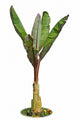 Banana Tree