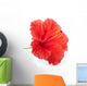 Red hibiscus flower isolated, clipping path included Wall Decal