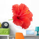 Red hibiscus flower isolated, clipping path included Wall Decal