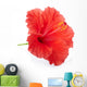 Red hibiscus flower isolated, clipping path included Wall Decal