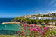 Cove and Harbour Port