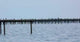 Oyster Farming Wall Decal