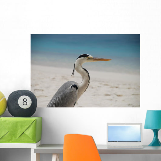 Graureiher Ardea Cinerea Fischreiher Wall Mural
