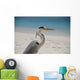 Graureiher Ardea Cinerea Fischreiher Wall Mural