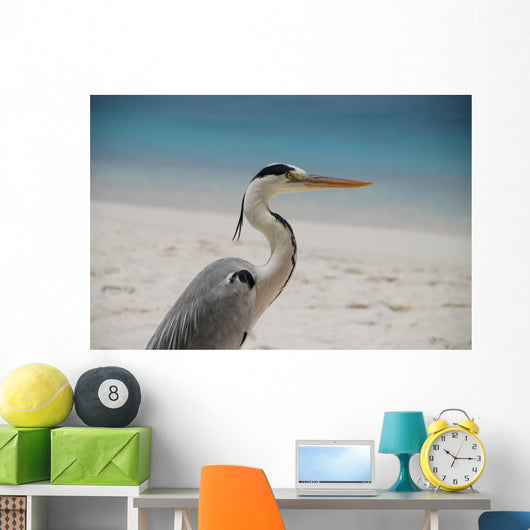 Graureiher Ardea Cinerea Fischreiher Wall Mural