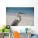 Graureiher Ardea Cinerea Fischreiher Wall Mural