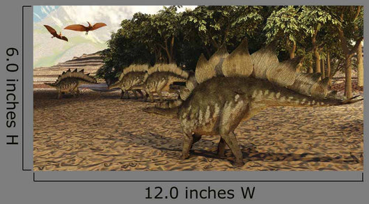 Stegosaurus