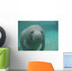 Manatee Sea Cow Cristal River Florida Wall Mural