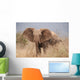 Elephant to Attack Ready Wall Mural