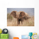 Elephant to Attack Ready Wall Mural
