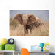 Elephant to Attack Ready Wall Mural