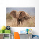 Elephant to Attack Ready Wall Mural