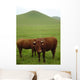 Vaches Salers Au Pied Wall Decal